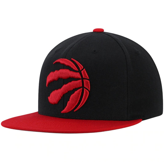 TORONTO RAPTORS SNAPBACKS = Various Styles